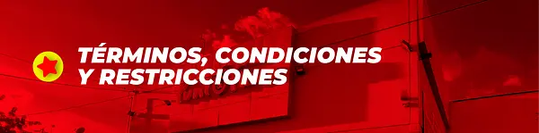 TERMINOS Y CONDICIONES