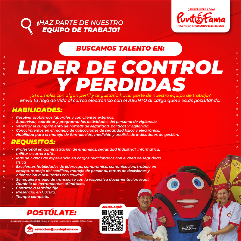 LIDER DE CONTROL Y PERDIDAS